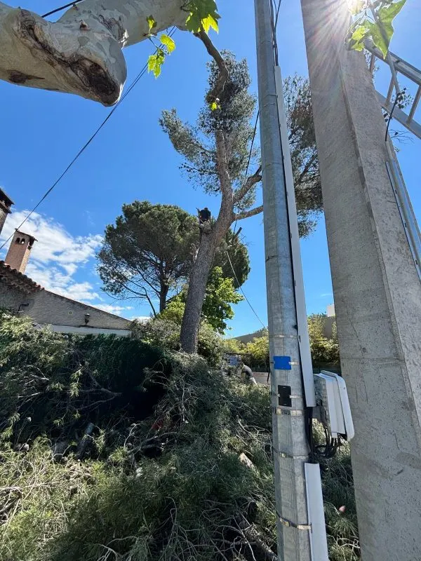 Réalisation de taille de haies dans un jardin des Bouches-du-Rhône