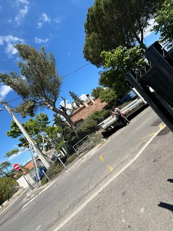 Chantier d’abattage d’arbre réalisé par un élagueur à Aubagne